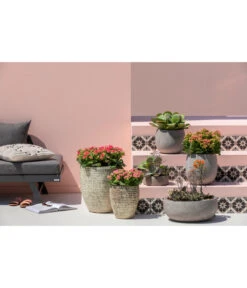 Dehner Leichtbeton-Schale Balloon Stone, Grau -Haus Pflanzen Welt 4058046 4058087 4057972 WE MO 005 DehnerLeichtbetonTopfBalloon