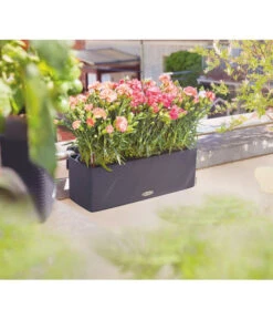 LECHUZA® BALCONISSIMA Color, All-in-One-Set, Ca. B40/H14/T14 Cm 14 LECHUZA® BALCONISSIMA Color, All-in-One-Set, Ca. B40/H14/T14 Cm -Haus Pflanzen Welt 4065538 PR MO 001 Balconissima40Anthrazit