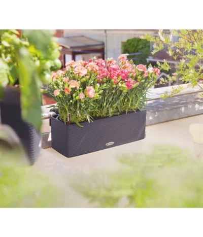 LECHUZA® BALCONISSIMA Color, All-in-One-Set, Ca. B40/H14/T14 Cm -Haus Pflanzen Welt 4065538 PR MO 001 Balconissima40Anthrazit