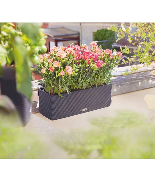 LECHUZA® BALCONISSIMA Color, All-in-One-Set, Ca. B40/H14/T14 Cm 7 LECHUZA® BALCONISSIMA Color, All-in-One-Set, Ca. B40/H14/T14 Cm – Bild 5