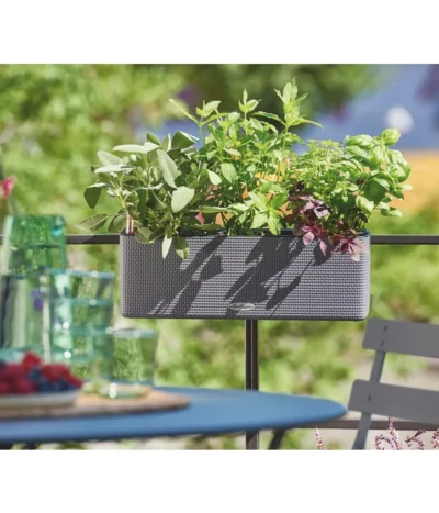 LECHUZA® BALCONISSIMA Color, All-in-One-Set, Ca. B40/H14/T14 Cm -Haus Pflanzen Welt 4065538 PR MO 002 Balconissima40Anthrazit