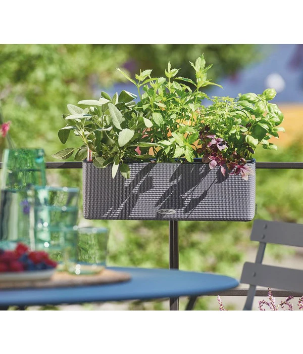 LECHUZA® BALCONISSIMA Color, All-in-One-Set, Ca. B40/H14/T14 Cm 8 LECHUZA® BALCONISSIMA Color, All-in-One-Set, Ca. B40/H14/T14 Cm – Bild 6