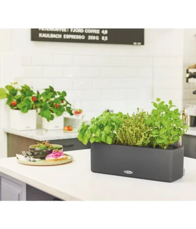 LECHUZA® BALCONISSIMA Color, All-in-One-Set, Ca. B40/H14/T14 Cm -Haus Pflanzen Welt 4065538 PR MO 003 Balconissima40Anthrazit