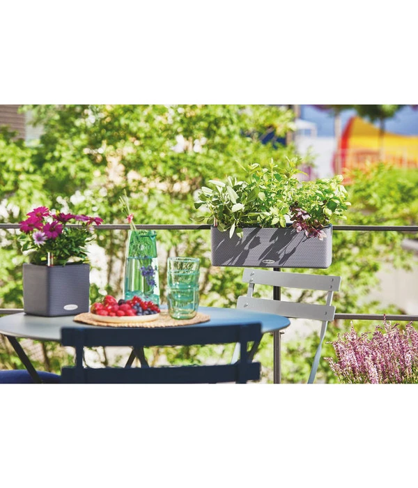 LECHUZA® BALCONISSIMA Color, All-in-One-Set, Ca. B40/H14/T14 Cm 9 LECHUZA® BALCONISSIMA Color, All-in-One-Set, Ca. B40/H14/T14 Cm – Bild 7