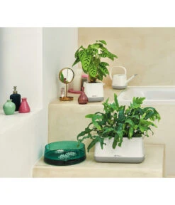 LECHUZA® YULA Gießkanne, 1,7 L -Haus Pflanzen Welt 4065884 4065934 WE MO 006 YulaPflanztascheFlowerGiesskanne