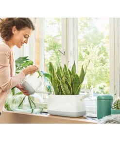 LECHUZA® YULA Gießkanne, 1,7 L -Haus Pflanzen Welt 4065934 PR MO 001 YulaPflanztascheWeissGrau 4065884