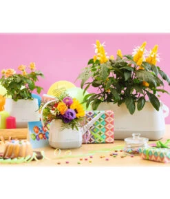 LECHUZA® YULA Gießkanne, 1,7 L -Haus Pflanzen Welt 4065934 PR MO 002 4065884 4065850 YulaSetWeissGrau