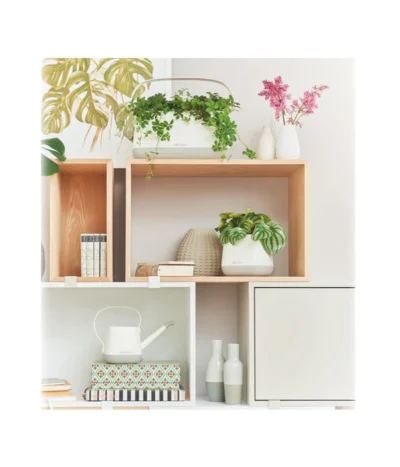 LECHUZA® YULA Gießkanne, 1,7 L 16 LECHUZA® YULA Gießkanne, 1,7 L -Haus Pflanzen Welt 4065934 PR MO 003 4065884 4065850 YulaSetWeissGrau