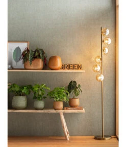 Korbmarante - Calathea Mosaica 8 Korbmarante - Calathea Mosaica -Haus Pflanzen Welt 4073847 PR MO 001 JardiniereTopfVaseSafirGelbGruen 4077731 4069274 4072542 4092896