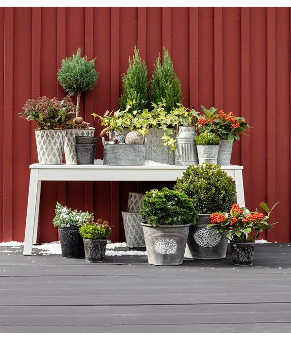 Dehner Zinkschale Mit Henkel 4 Dehner Zinkschale Mit Henkel – Bild 2
