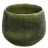Dehner Keramik-Übertopf Linn, Bauchig, Dunkelgrün -Haus Pflanzen Welt 4082269 PR FS 001 TopfLinnGruenDehnerExpressHerzig