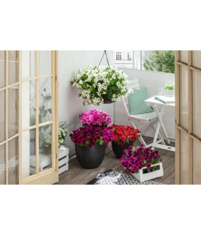 Artstone Kunststoff-Topf Bola -Haus Pflanzen Welt 4086096 4086088 4086104 4086112 WE MO 005 ArtstoneKunststoffTopfBolaschwarz