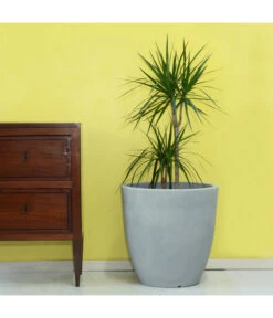 Farmet Kunststoff-Topf-Set Orione Alto, Rund, Grau, 2-teilig -Haus Pflanzen Welt 4109179 WE DE 002 ORIONEALTOHoherRunderPflanzkuebelDurchmesser50cm50cmhochSTEINBEIGE