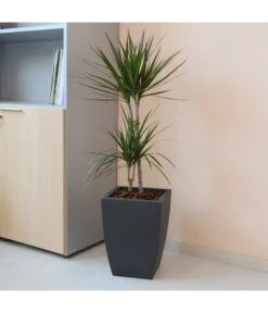 Farmet Kunststoff-Topf-Set Hydrus, Quadratisch, Anthrazit, 2-teilig -Haus Pflanzen Welt 4110128 WE DE 002 HYDRUSQuadratischerPflanzkuebel29x29x40cmhochDUNKELANTHRAZIT