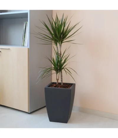 Farmet Kunststoff-Topf-Set Hydrus, Quadratisch, Anthrazit, 2-teilig -Haus Pflanzen Welt 4110128 WE DE 002 HYDRUSQuadratischerPflanzkuebel29x29x40cmhochDUNKELANTHRAZIT