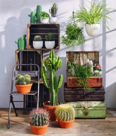 Dehner Keramik-Ampel, Konisch -Haus Pflanzen Welt 4139697 4139721 4139739 4148185 4148193 5122809 5122866 WE MO 001 KakteenGruenTopfSukuCermeAmpelPanna