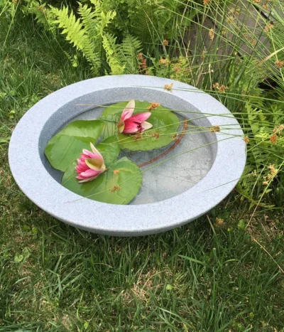 Roto Kunststoff-Pflanzschale Ballett, Rund, Hellgrau, Ca. Ø60/H18 Cm -Haus Pflanzen Welt 4142485 WE MO 002 RotoSchaleBallett600