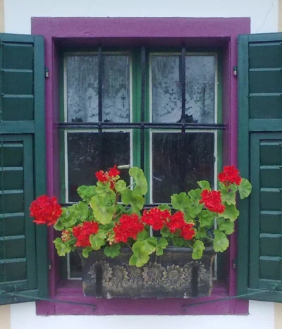 Roto Kunststoff-Pflanzkasten Planika, Rechteckig, Dunkelgrau, Ca. B49,5/H18,5/T20,5 Cm 7 Roto Kunststoff-Pflanzkasten Planika, Rechteckig, Dunkelgrau, Ca. B49,5/H18,5/T20,5 Cm -Haus Pflanzen Welt 4145769 WE MO 002 RotoKastenPlanika