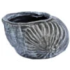 Roto Kunststoff-Pflanztopf Muschel, Grau, Ca. B40/H25,5/T30 Cm -Haus Pflanzen Welt 4145843 WE FS 001 RotoTopfMuschel