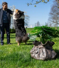 Roto Kunststoff-Pflanztopf Tasche, Grau, Ca. B58/H30/T49 Cm -Haus Pflanzen Welt 4147971 WE MO 001 RotoTopfTasche