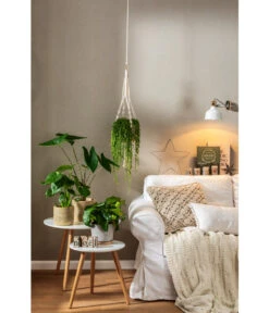 Dehner Makramee-Ampel -Haus Pflanzen Welt 4152484 PR MO 001 TopfFreshBraunGrau 4408951 4408977 4408985 4409132