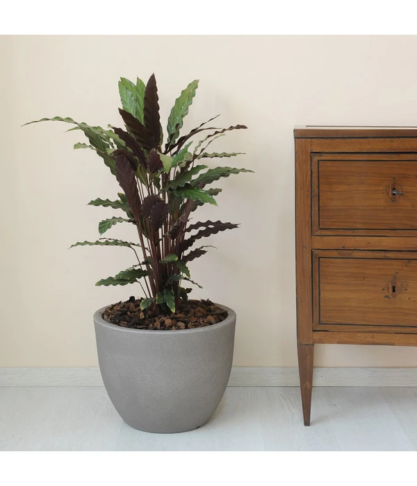 Farmet Kunststoff-Topf-Set Orione, Rund, Grau, 2-teilig 4 Farmet Kunststoff-Topf-Set Orione, Rund, Grau, 2-teilig – Bild 2