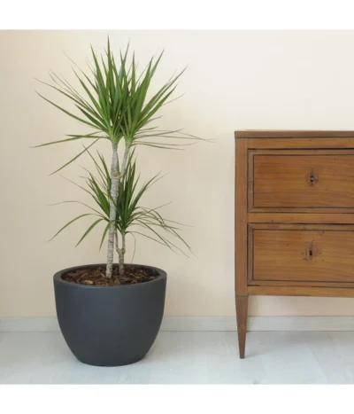 Farmet Kunststoff-Topf-Set Orione, Rund, Anthrazit, 2-teilig -Haus Pflanzen Welt 4178281 WE DE 002 ORIONERunderPflanzkuebelDurchmesser40cm30cmhochDUNKELANTHRAZIT