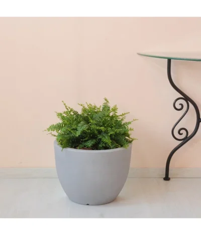 Farmet Kunststoff-Topf-Set Orione, Rund, Grau, 2-teilig -Haus Pflanzen Welt 4179008 WE DE 002 ORIONERunderPflanzkuebelDurchmesser50cm37cmhochSTEINBEIGE