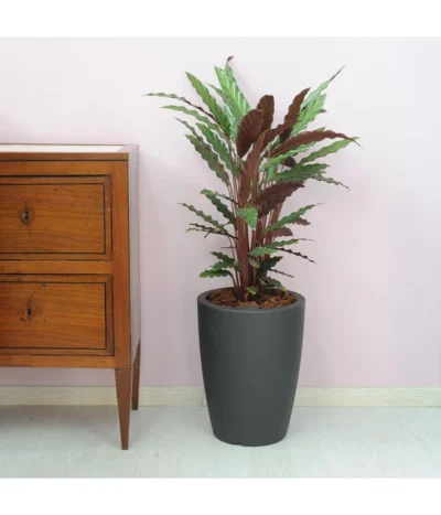 Farmet Kunststoff-Topf-Set Hydra, Konisch, Anthrazit, 2-teilig 9 Farmet Kunststoff-Topf-Set Hydra, Konisch, Anthrazit, 2-teilig -Haus Pflanzen Welt 4183182 WE DE 002 HYDRARunderPflanzkuebelDurchmesser30cm40cmhochDUNKELANTHRAZIT