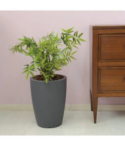 Farmet Kunststoff-Topf-Set Hydra, Konisch, Anthrazit, 2-teilig -Haus Pflanzen Welt 4183653 WE DE 002 HYDRARunderPflanzkuebelDurchmesser36cm50cmhochDUNKELANTHRAZIT