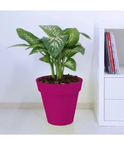 Farmet Kunststoff-Pflanzkübel Pegasus -Haus Pflanzen Welt 4185336 WE DE 002 PEGASUSKonischerPflanzkuebelDurchmesser40cm37cmhochLILA