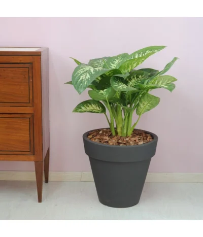 Farmet Kunststoff-Topf-Set Pegasus, Konisch, Anthrazit, 2-teilig -Haus Pflanzen Welt 4185401 WE DE 002 PEGASUSKonischerPflanzkuebelDurchmesser40cm37cmhochDUNKELANTHRAZIT