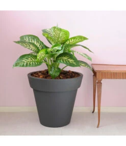 Farmet Kunststoff-Topf-Set Pegasus, Konisch, Anthrazit, 2-teilig -Haus Pflanzen Welt 4185690 WE DE 002 PEGASUSKonischerPflanzkuebelDurchmesser50cm46cmhochDUNKELANTHRAZIT