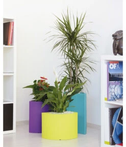 Farmet Kunststoff-Pflanzkübel-Set Blütenblatt Petalo, Ca. ø 50/H50 Cm, 3-teilig -Haus Pflanzen Welt 4186318 WE DE 002 PETALOBLueTENBLATT SETMIT3STueCKENDurchmesser50cm50cmhochWEISS