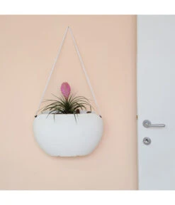 Farmet Kunststoff-Hängeampel Clio -Haus Pflanzen Welt 4186680 WE DE 002 CLIObagmitSeil40x17x2450cmhochWEISS