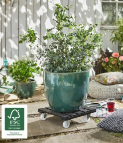 Wagner WPC-Pflanzenroller, 38 X 38 Cm, Anthrazit -Haus Pflanzen Welt 4272480 WE MO 002 MULTIROLLERWPC