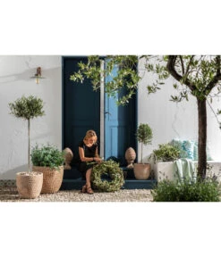 Dehner Terrakotta-Topf Adria, Rund, Antik-terrakotta -Haus Pflanzen Welt 4272530 WE MO 002 TerrakottaTopfterrakottaantik