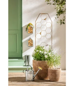 Dehner Terrakotta-Topf Adria, Rund, Antik-terrakotta -Haus Pflanzen Welt 4272530 WE MO 005 DehnerTerrakottaTopfterrakottaantik