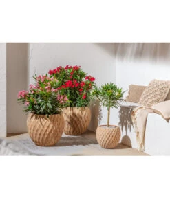 Dehner Terrakotta-Topf Imperia, Rund, Antik-terrakotta 10 Dehner Terrakotta-Topf Imperia, Rund, Antik-terrakotta -Haus Pflanzen Welt 4272639 4272670 WE MO 002 DehnerTerrakottaTopf