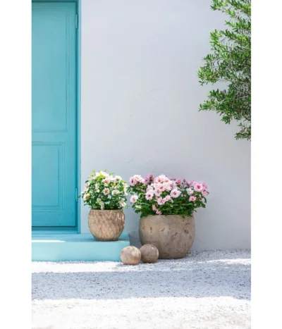 Dehner Terrakotta-Topf Imperia, Rund, Antik-terrakotta -Haus Pflanzen Welt 4272639 4272670 WE MO 003 DehnerTerrakottaTopf