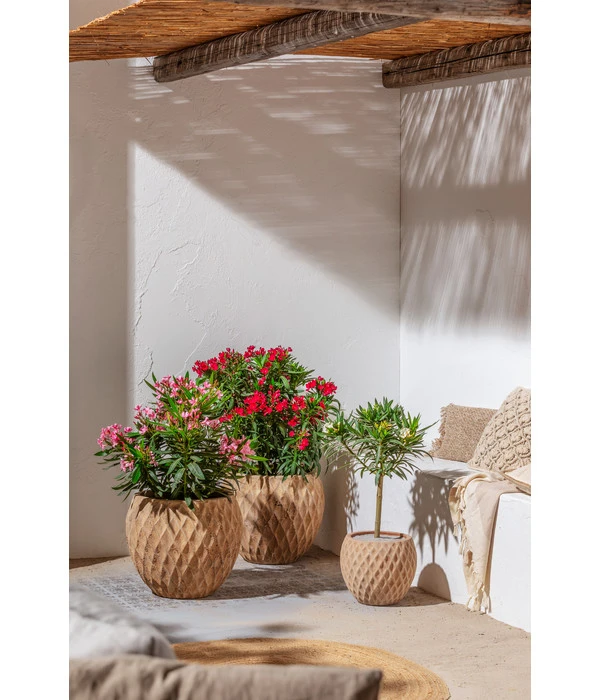 Dehner Terrakotta-Topf Imperia, Rund, Antik-terrakotta 6 Dehner Terrakotta-Topf Imperia, Rund, Antik-terrakotta – Bild 4