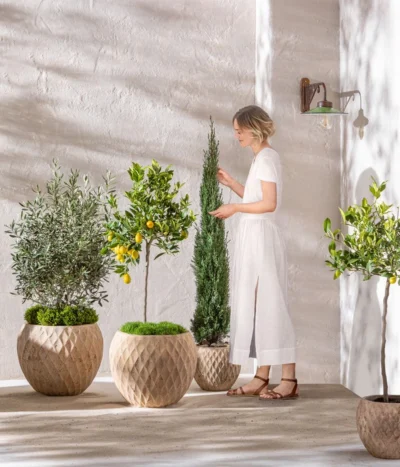 Dehner Terrakotta-Topf Imperia, Rund, Antik-terrakotta -Haus Pflanzen Welt 4272639 4272670 WE MO 006 DehnerTerrakottaTopf