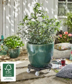 Wagner Pflanzroller, Ø 38 Cm 8 Wagner Pflanzroller, Ø 38 Cm -Haus Pflanzen Welt 4272654 WE MO 002 MULTIROLLERWPC