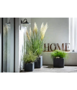 Dehner Kunststoff-Blumenkübel Palermo, Anthrazit -Haus Pflanzen Welt 4292165 WE MO 001 FerrumMetallBuchstabenSetHOMEcaB30H35T14cm