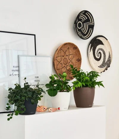 LECHUZA® CLASSICO Color, All-in-One-Set -Haus Pflanzen Welt 4309712 PR FS 001 ClassicoColorWeissMuskatSchiefergrau