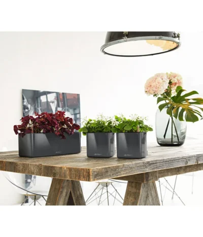 LECHUZA® CUBE Glossy, All-in-One Set -Haus Pflanzen Welt 4310470 PR MO 002 4310512CubeGlossyAnthrazit