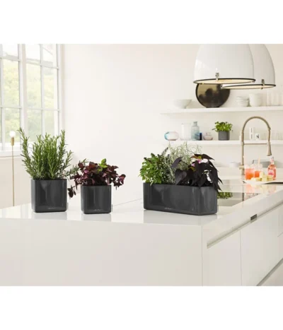 LECHUZA® CUBE Glossy, All-in-One Set -Haus Pflanzen Welt 4310470 PR MO 003 4310512CubeGlossyAnthrazit