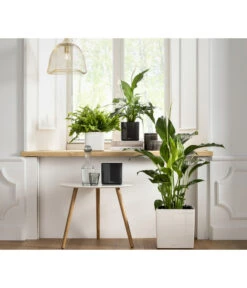 LECHUZA® CUBE Glossy, All-in-One Set -Haus Pflanzen Welt 4310496 PR MO 001 CubeGlossyAnthrazitWeissCubePremium