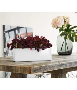 LECHUZA® CUBE Glossy Triple, All-in-One Set, 40 Cm -Haus Pflanzen Welt 4310652 PR MO 001 CubeGlossyTripleWeiss