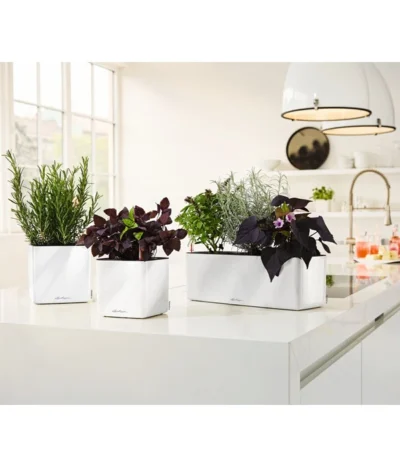 LECHUZA® CUBE Glossy Triple, All-in-One Set, 40 Cm 9 LECHUZA® CUBE Glossy Triple, All-in-One Set, 40 Cm -Haus Pflanzen Welt 4310652 PR MO 003 CubeGlossyTripleWeiss